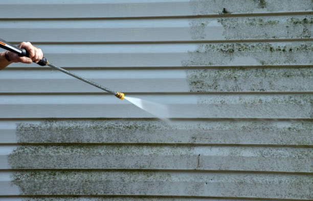 Best Sidewalk and Walkway Cleaning  in Webster City, IA