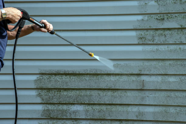 Best Patio and Deck Pressure Washing  in Webster City, IA