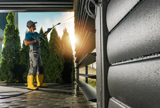 Best Animal Enclosure Cleaning  in Webster City, IA